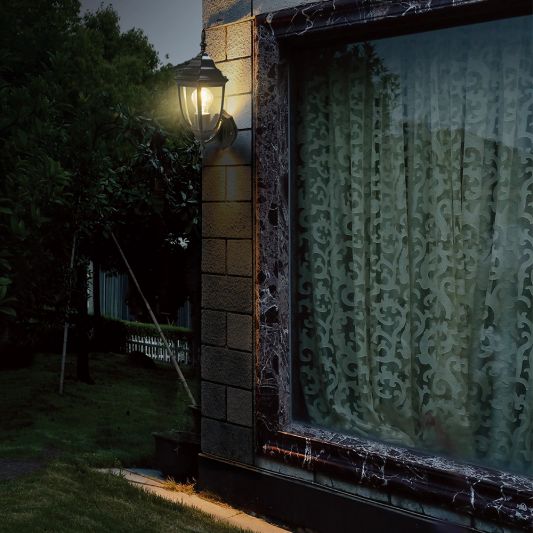 Klassieke zwarte wandlamp voor buiten met E27 Zigbee filament led lamp