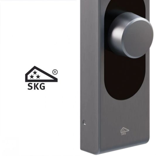 Loqed Touch Smart Lock Stainless Steel