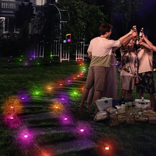 Wifi Feestverlichting voor de gevel | IP65 | 45m