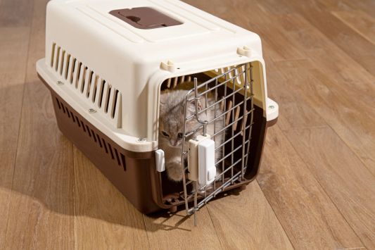 SwitchBot Contact Sensor