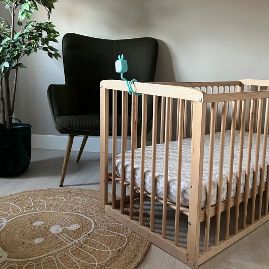 Tuya Baby camera | Met huil- en bewegingsdetectie | Blauw