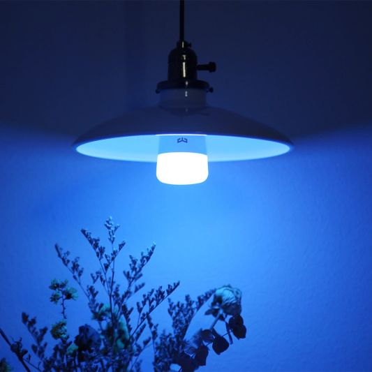 Yeelight slimme led lamp - E27 fitting - RGBWW Multicolor en Wit