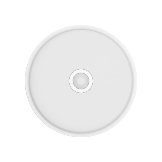 Yeelight slimme plafondlamp Mini 10W - Koud witte lichtkleur