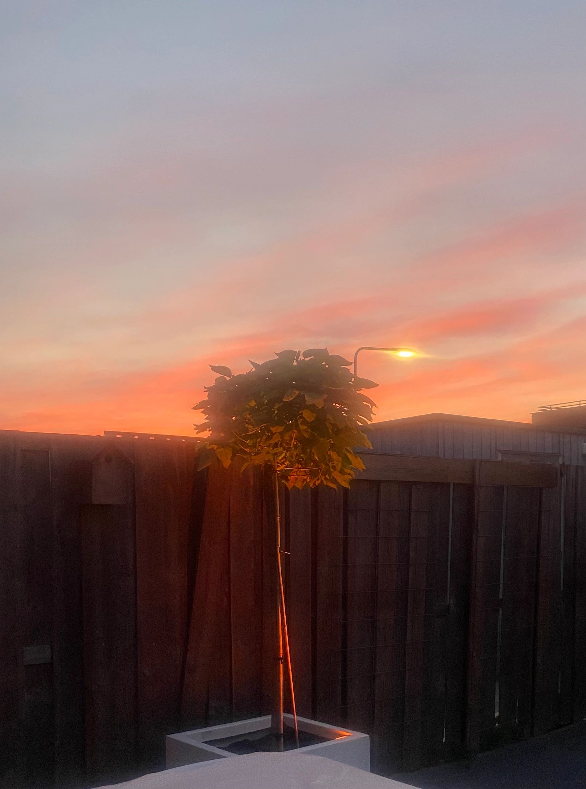 Zigbee 3.0 LED Tuinspot Pro met RGBWW kleuren 7W