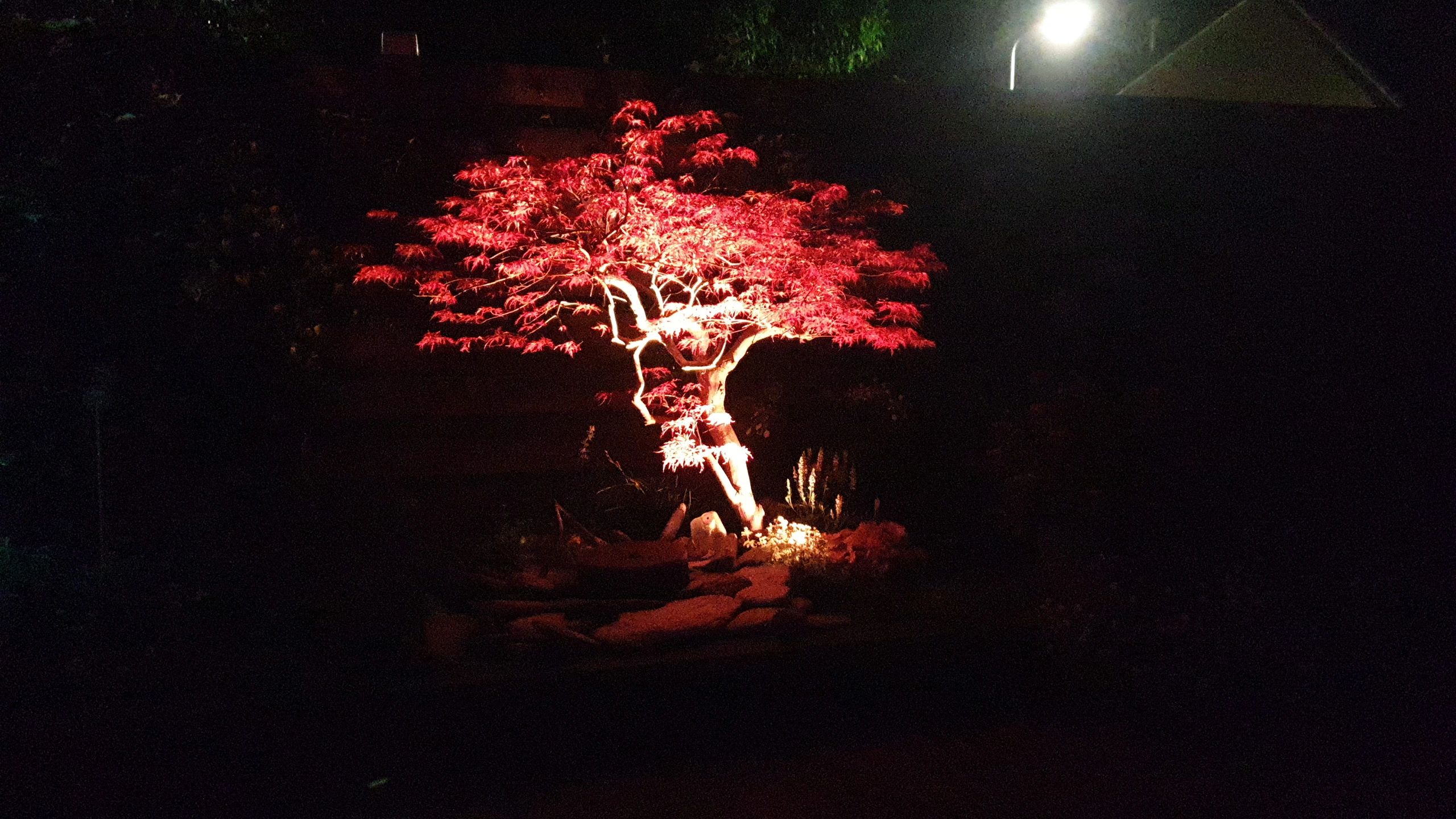 Zwarte wandlamp voor buiten met Zigbee GU10 spot - Recht