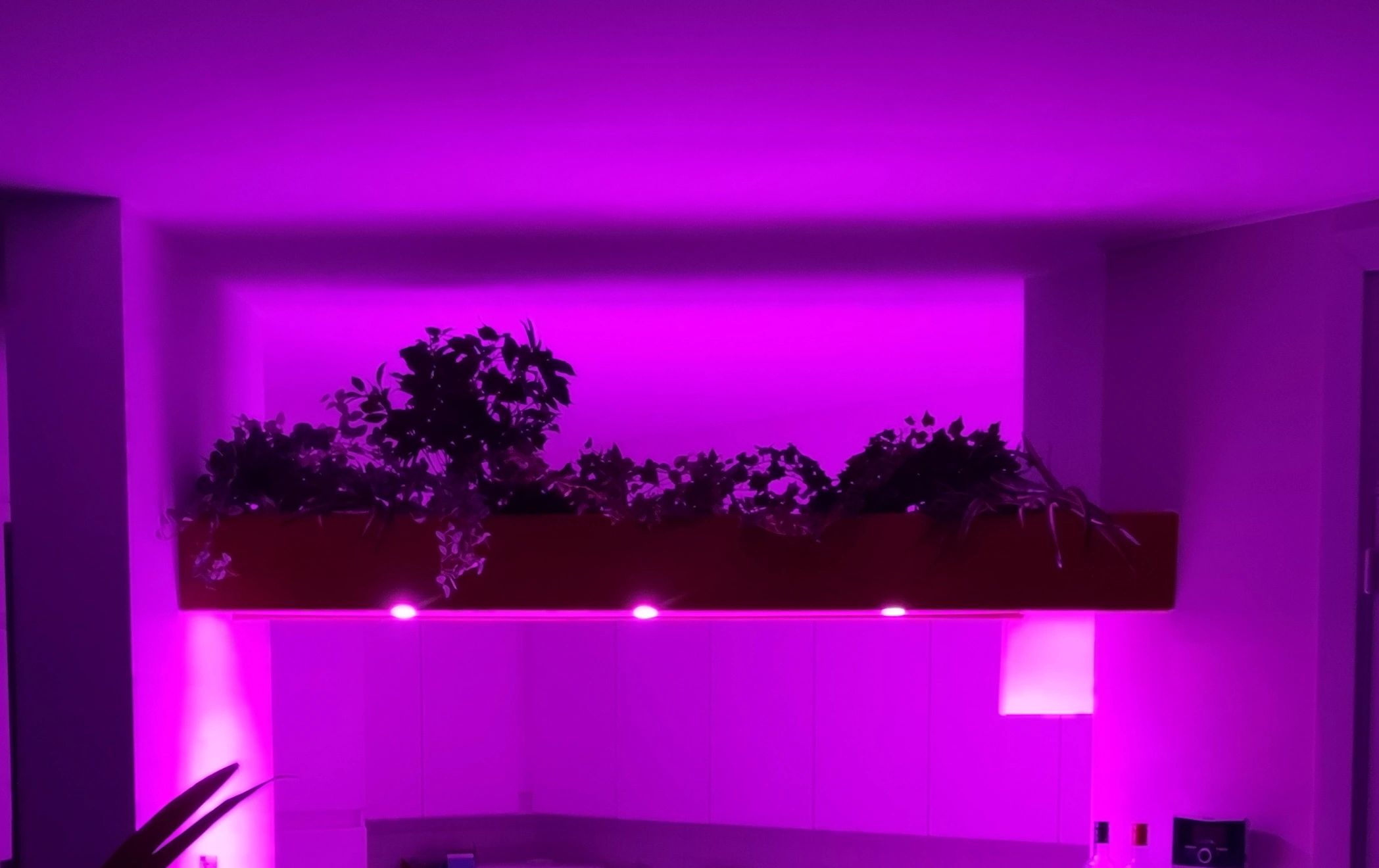 Zigbee spot RGBWW MR16 fitting - 4 Watt - Voordeelset van 3